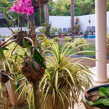 Turtle Paradise Villa Косгода Экстерьер фото