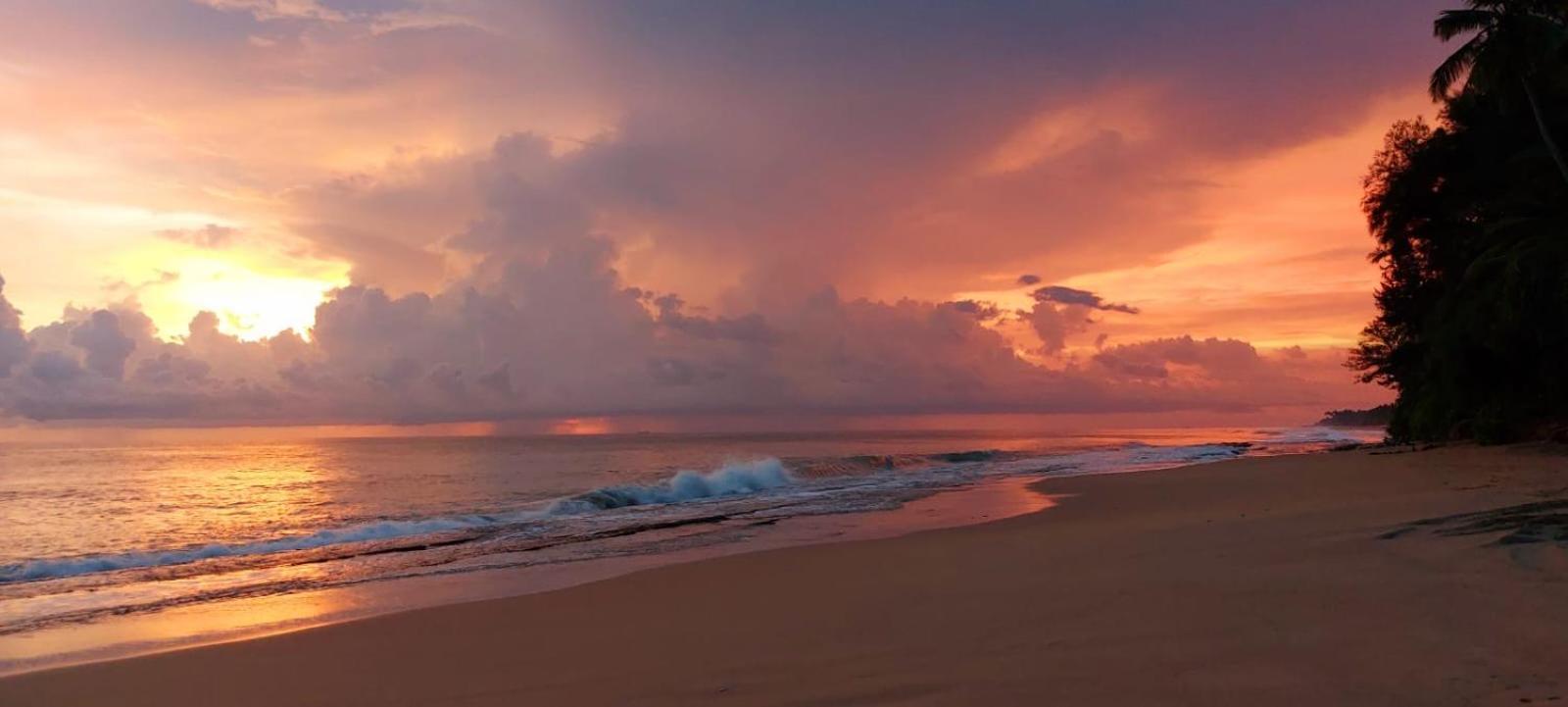 Turtle Paradise Villa Косгода Экстерьер фото